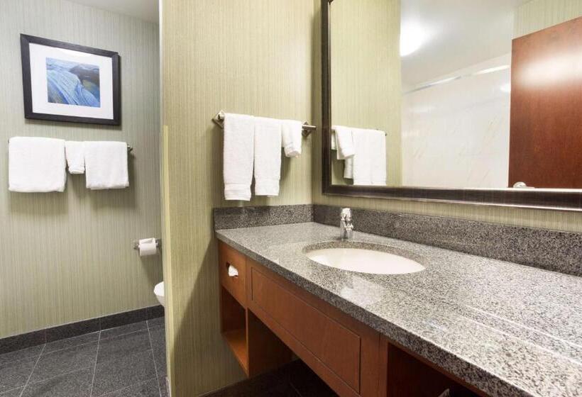 适合残疾人士使用的套间, Drury Inn & Suites Colorado Springs Near The Air Force Academy