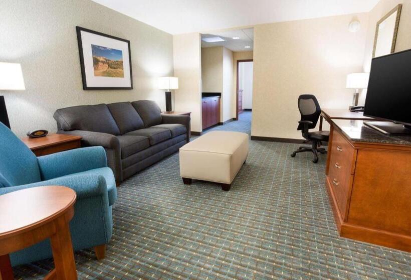 장애인을 위한 스위트, Drury Inn & Suites Colorado Springs Near The Air Force Academy