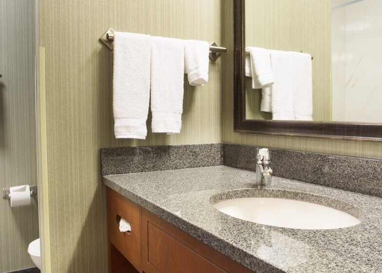 豪华房间, Drury Inn & Suites Colorado Springs Near The Air Force Academy