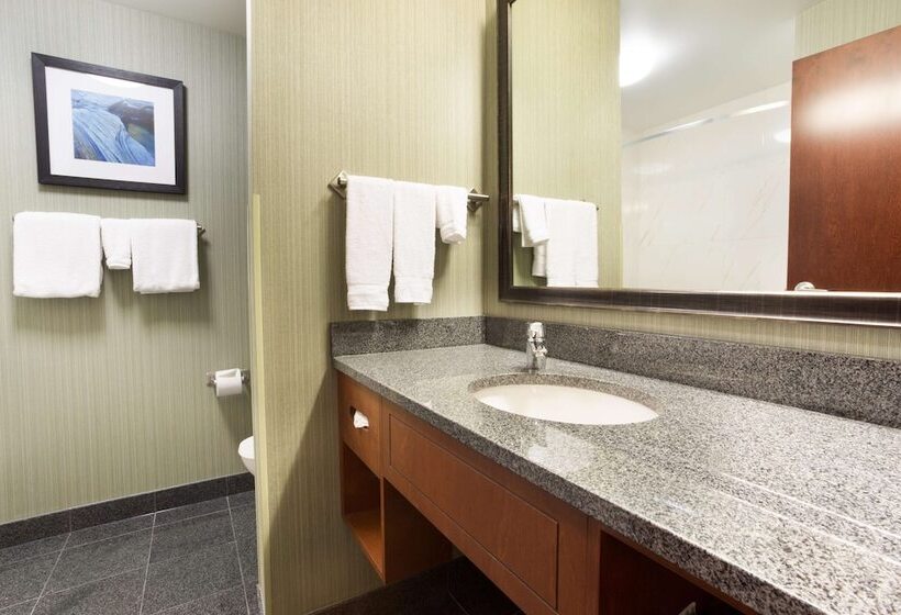 适用于残疾人士的豪华房间, Drury Inn & Suites Colorado Springs Near The Air Force Academy