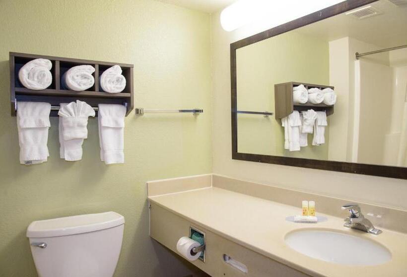 غرفه قياسيه سريرين مزدوجين, Pigeon River Inn