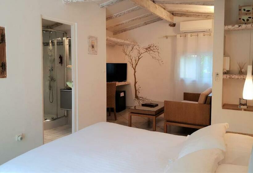 Номер Стандарт Вид на Сад, Private Hôtel   Adult Only