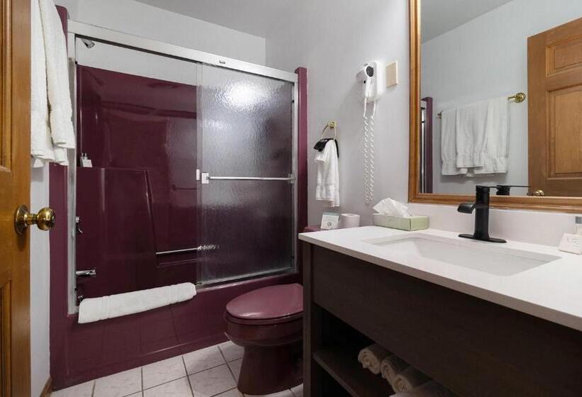Люкс 2 Спальни, Snyders Shoreline Inn