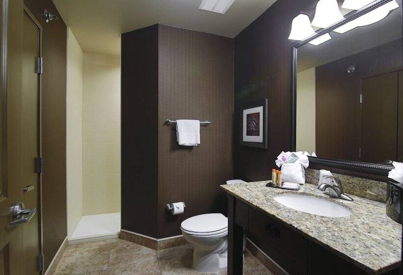 Номер Deluxe, Teddy's Residential Suites Watford City