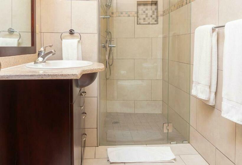 Студия Стандарт, Cabarete Palm Beach Condos
