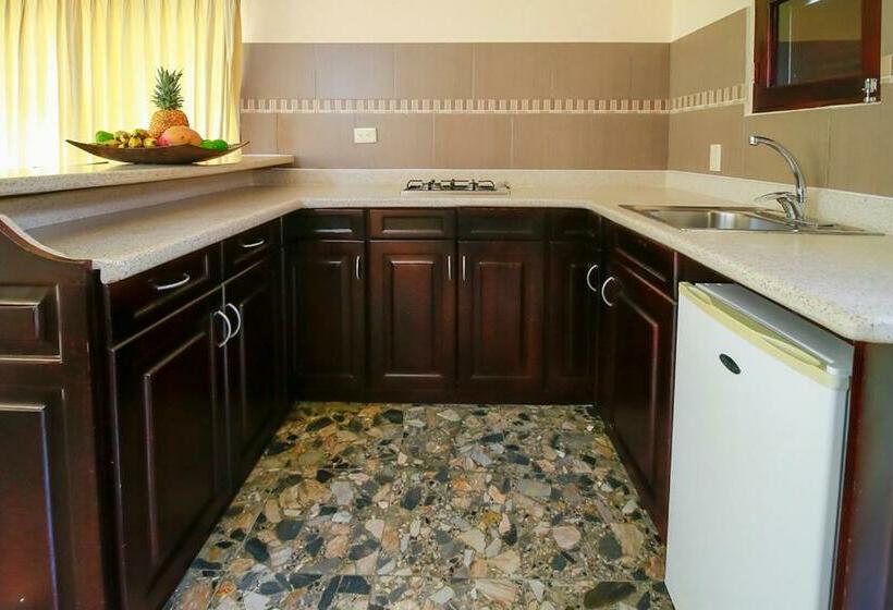 Студия Стандарт, Cabarete Palm Beach Condos