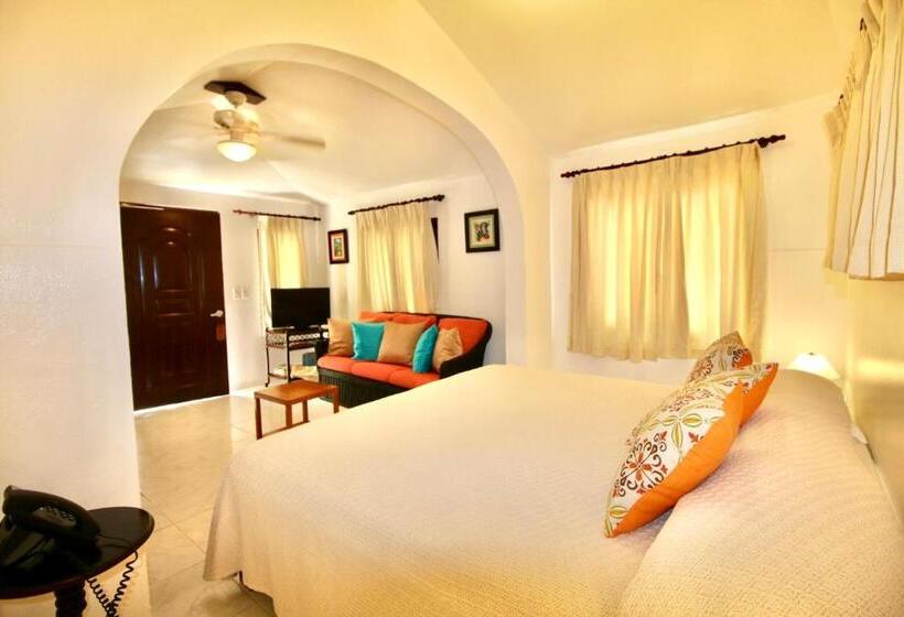 Номер Economy, Cabarete Palm Beach Condos