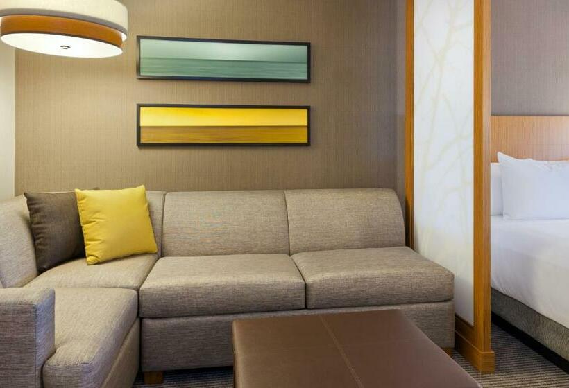 Quarto Standard para Deficientes, Hyatt Place Chicago Midway Airport