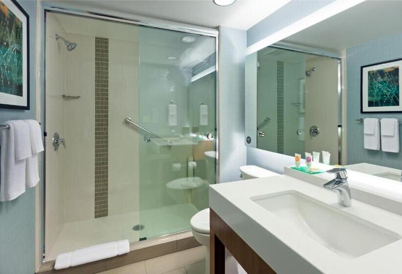 Quarto Standard para Deficientes, Hyatt Place Chicago Midway Airport