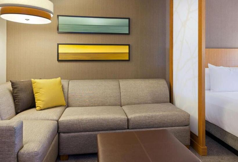Quarto Standard 2 Camas Casal, Hyatt Place Chicago Midway Airport