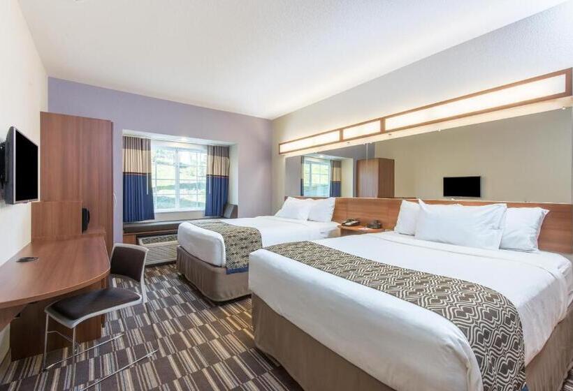 장애인용 디럭스룸, Microtel Inn & Suites By Wyndham Cadiz