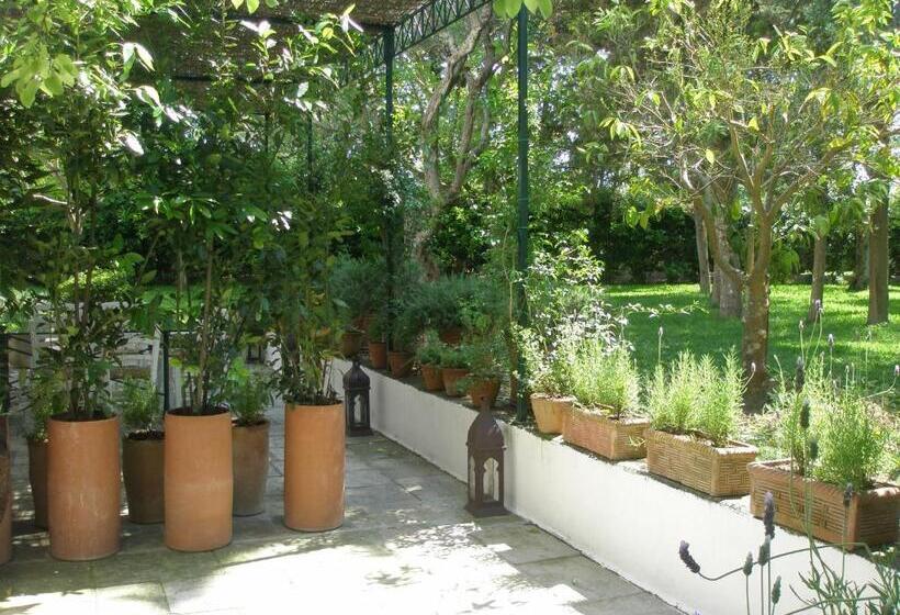 Quarto Economy, Tenuta Belvedere