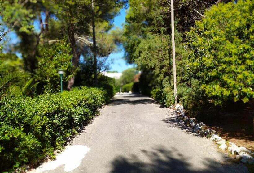 Apartamento 2 Dormitórios, Tenuta Belvedere