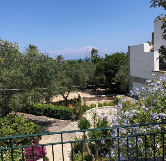 Quarto Economy, Tenuta Belvedere