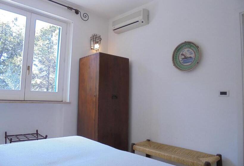 Quarto Estandar Vista Jardim, Tenuta Belvedere