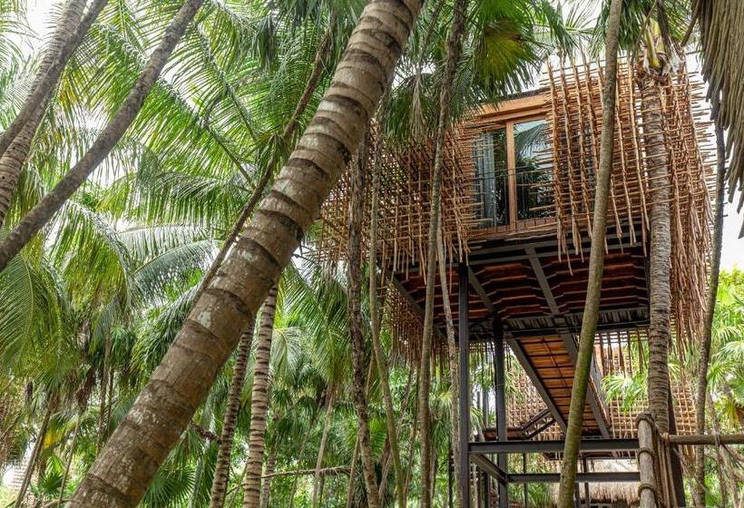 Quarto Estandar, Nomade Tulum