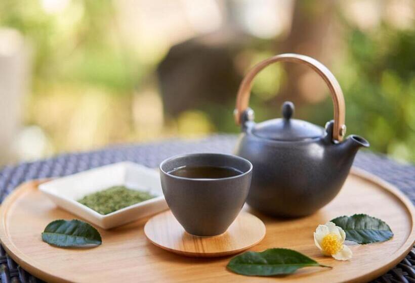 Номер Стандарт, Ooedo Onsen Monogatari Premium Shirahama Gyoen