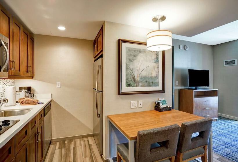 스위트, Homewood Suites By Hilton Boston Brooklinelongwood Medical