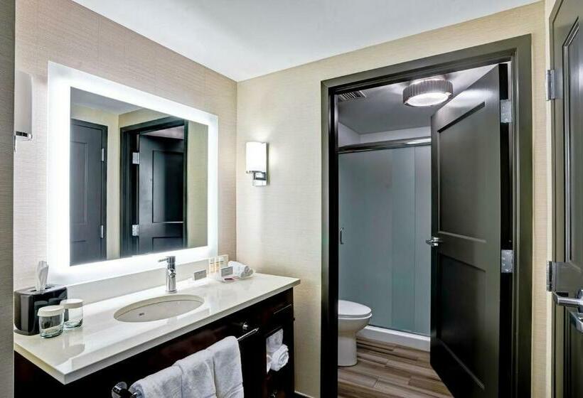 디럭스 스위트 킹 침대, Homewood Suites By Hilton Boston Brooklinelongwood Medical