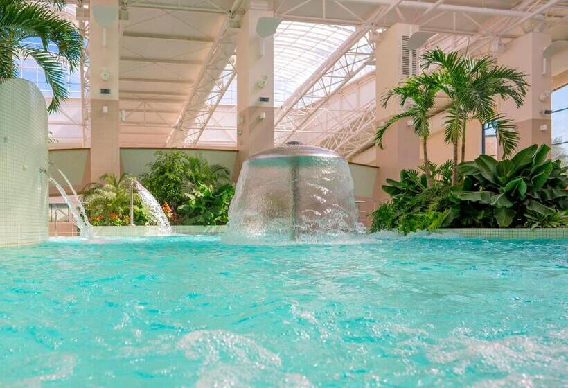 اتاق استاندارد, Lotus Therm Spa&luxury Resort