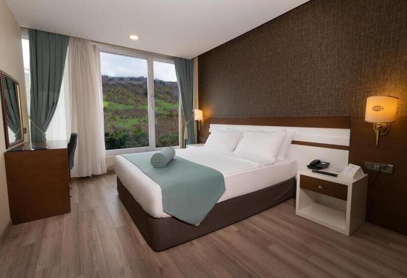 اتاق استاندارد با چشم‌انداز, Tilya Resort