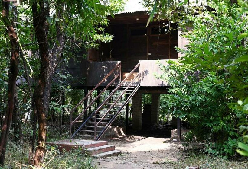 Номер Deluxe с Балконом, Tiger N Woods Resort