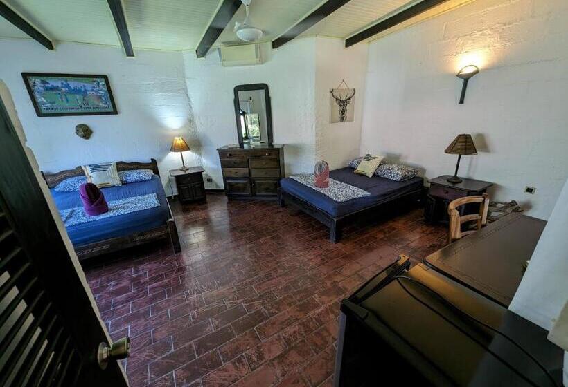 标准间, Spirit Of Jungle Lodge