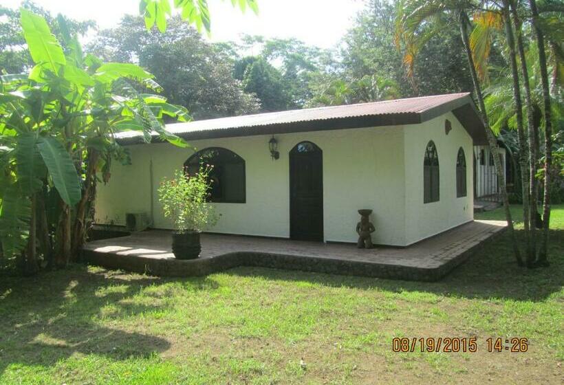 标准间, Spirit Of Jungle Lodge