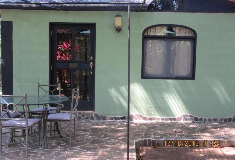 豪华洋房, Spirit Of Jungle Lodge
