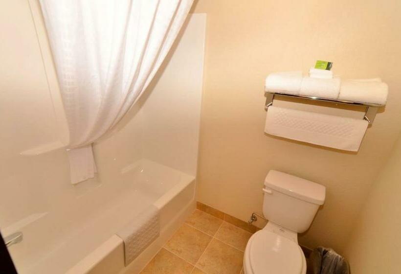 Номер Стандарт, Cobblestone Inn & Suites  Holstein