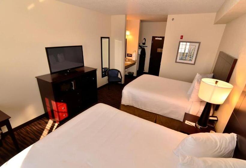 Студия Стандарт, Cobblestone Inn & Suites  Holstein