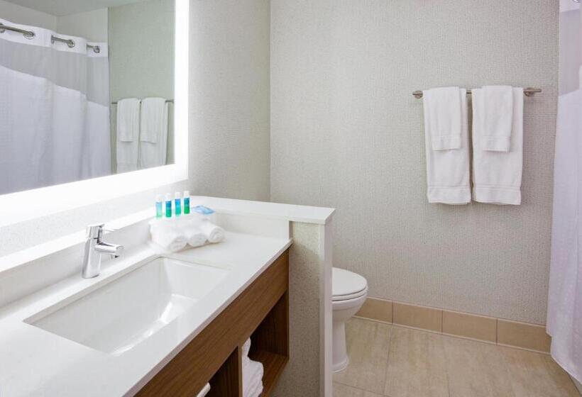 스위트 킹사이즈 침대, Holiday Inn Express And Suites Des Moines Downtown, An Ihg