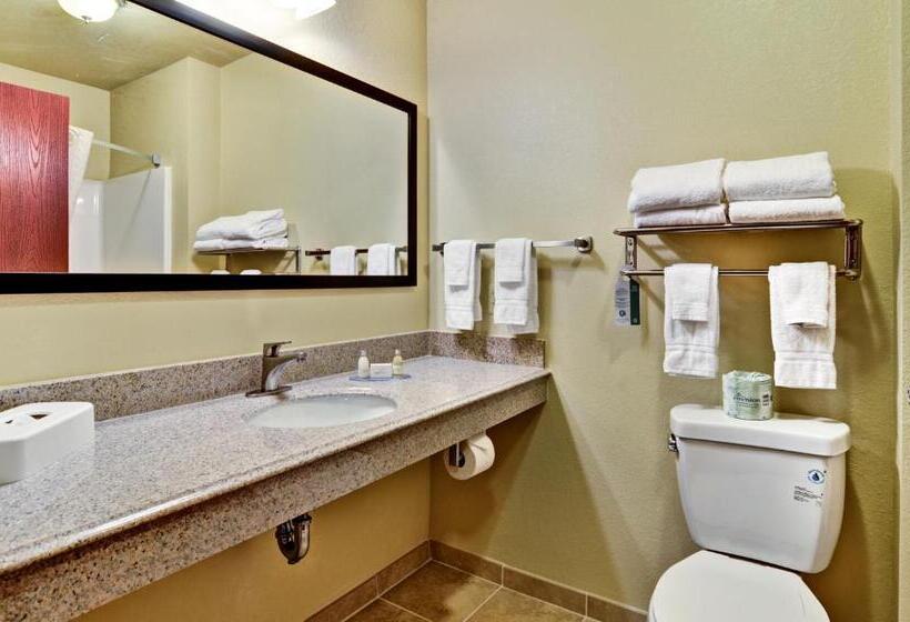 Стандартный Номер Кровать Кинг, Cobblestone Inn & Suites  Ambridge