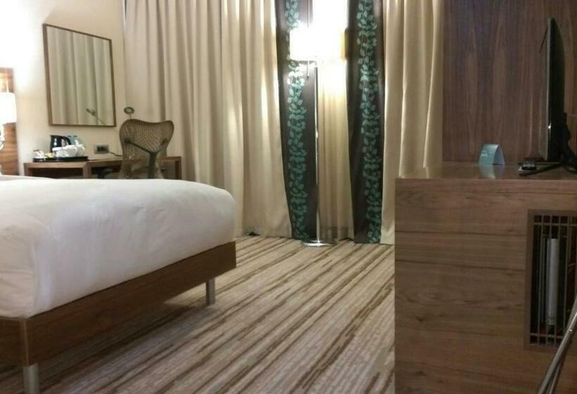 Номер Стандарт Адаптированный для Инвалидов, Hilton Garden Inn Erzincan