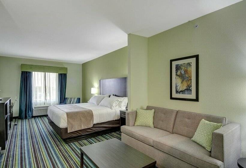 Люкс Адаптированный для Инвалидов, Holiday Inn Express & Suites Carrizo Springs By Ihg