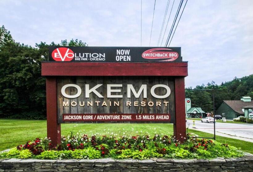 Апартаменты 1 Спальня, Okemo Mountain Condo