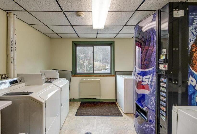 Апартаменты 1 Спальня, Okemo Mountain Condo