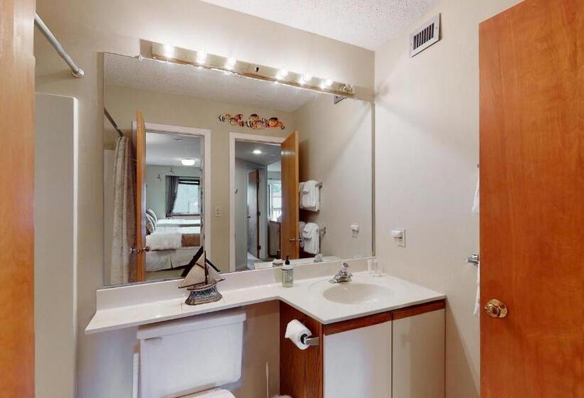 Апартаменты 1 Спальня, Okemo Mountain Condo