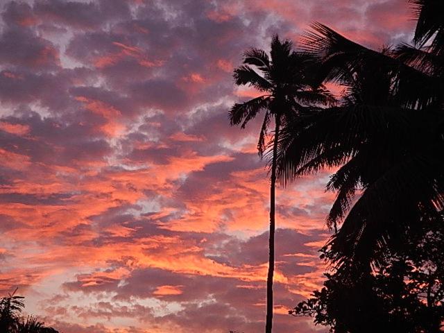 استودیو استاندارد با چشم‌انداز باغ, Reefcomber Sunset Beach