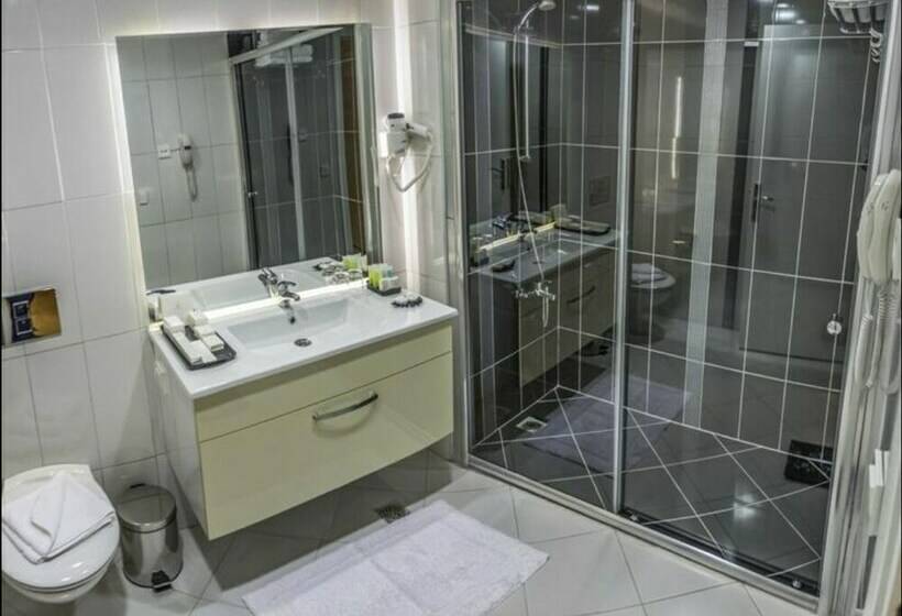 小型套房, Millenium Suites