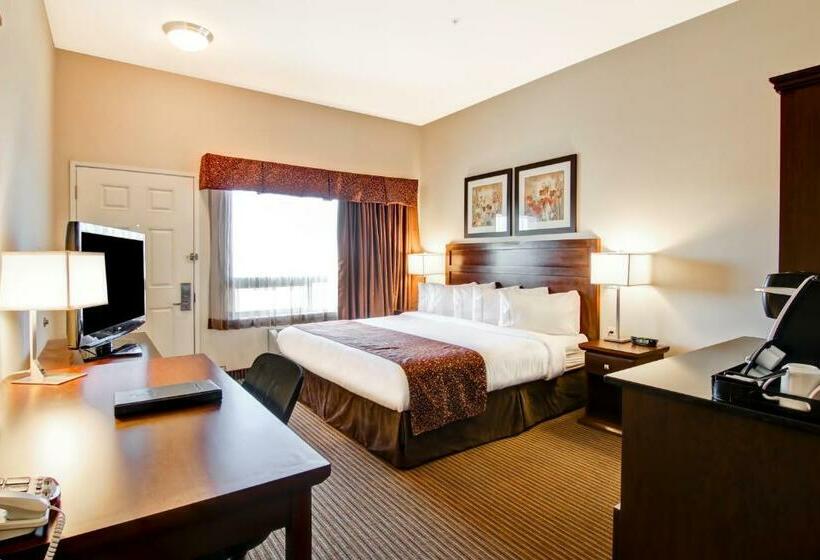 身障者適用キングサイズベッドルーム, Canalta Hotel Tisdale