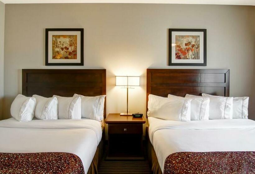 スタンダードルーム, Canalta Hotel Tisdale