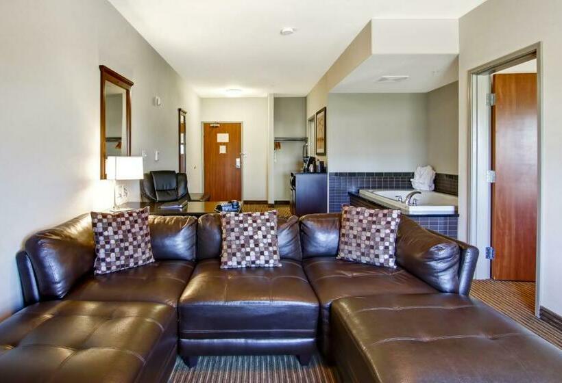 キングサイズベッドのスタンダードルーム, Canalta Hotel Tisdale