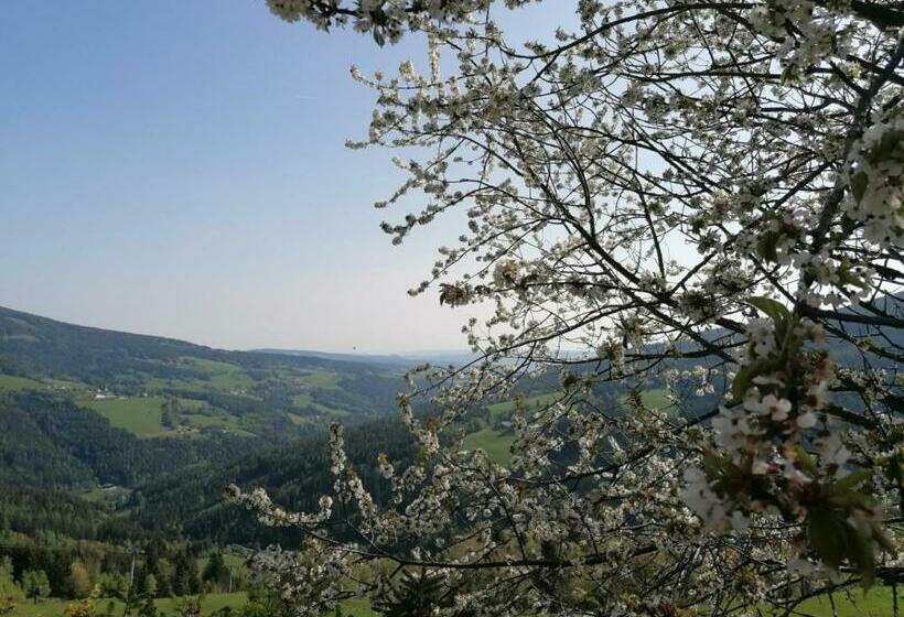 スタンダード４人部屋, Alpengasthof Fernblick