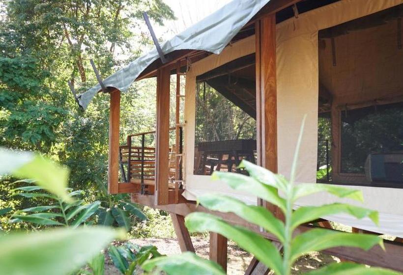 디럭스 스위트, Sangha Retreat