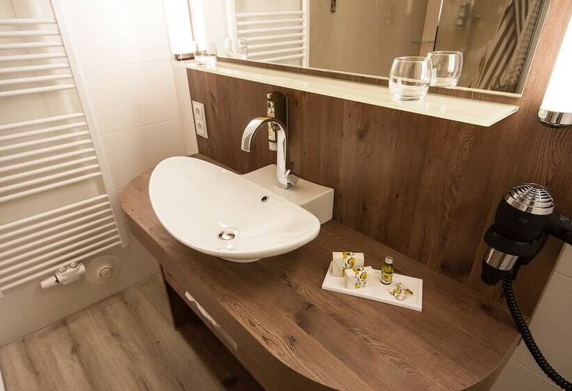 Номер Стандарт, Arkadenhaus   Hotel Freiherr Von Schwarzenberg