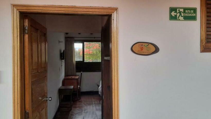 Номер Стандарт Трехместный, Maxiruma   Villa Tamauka