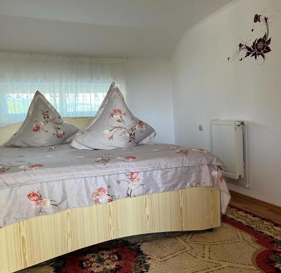 Апартаменты 2 Спальни с Террасой, Casa Ilinca