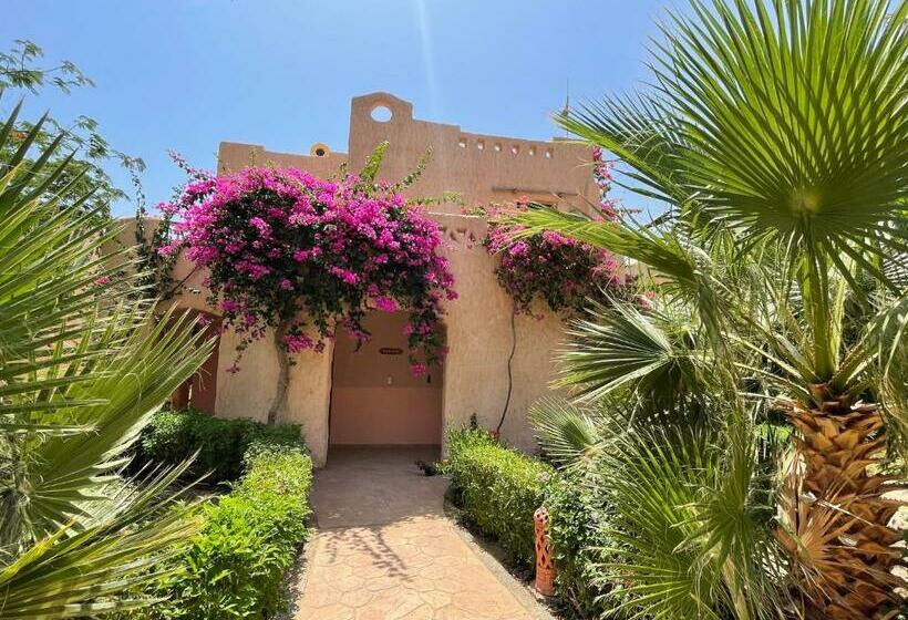 اتاق استاندارد با چشم‌انداز باغ, Soulotel Inn Blue Resort & Spa