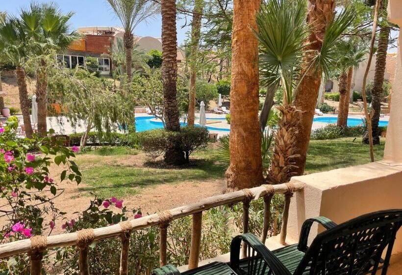 اتاق استاندارد با چشم‌انداز استخر, Soulotel Inn Blue Resort & Spa